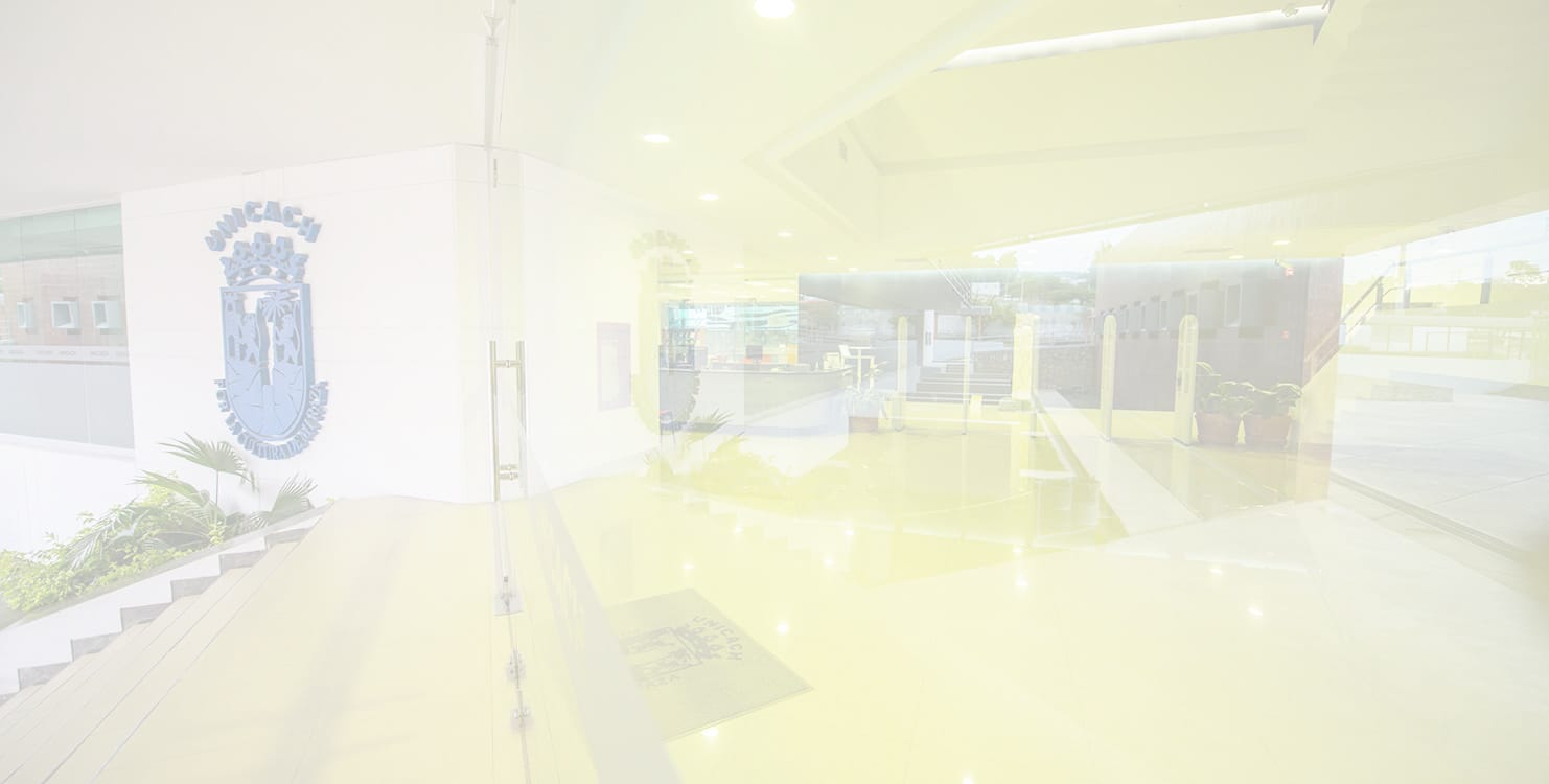 Open Day